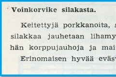 Voinkorvike silakasta