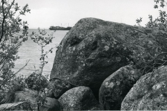 S/S Mikkelin nosto