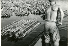 Nippujen pudotus, v. 1947, Savitaipale, Enso-Gutzeit Oy