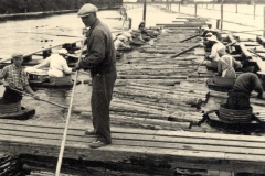 Tukkien erottelua, v. 1953, Pori, Rosenlew Oy