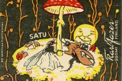 Fazer Satu 2